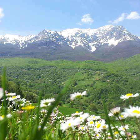 Вилла La Via Del Parco Arsita Экстерьер фото