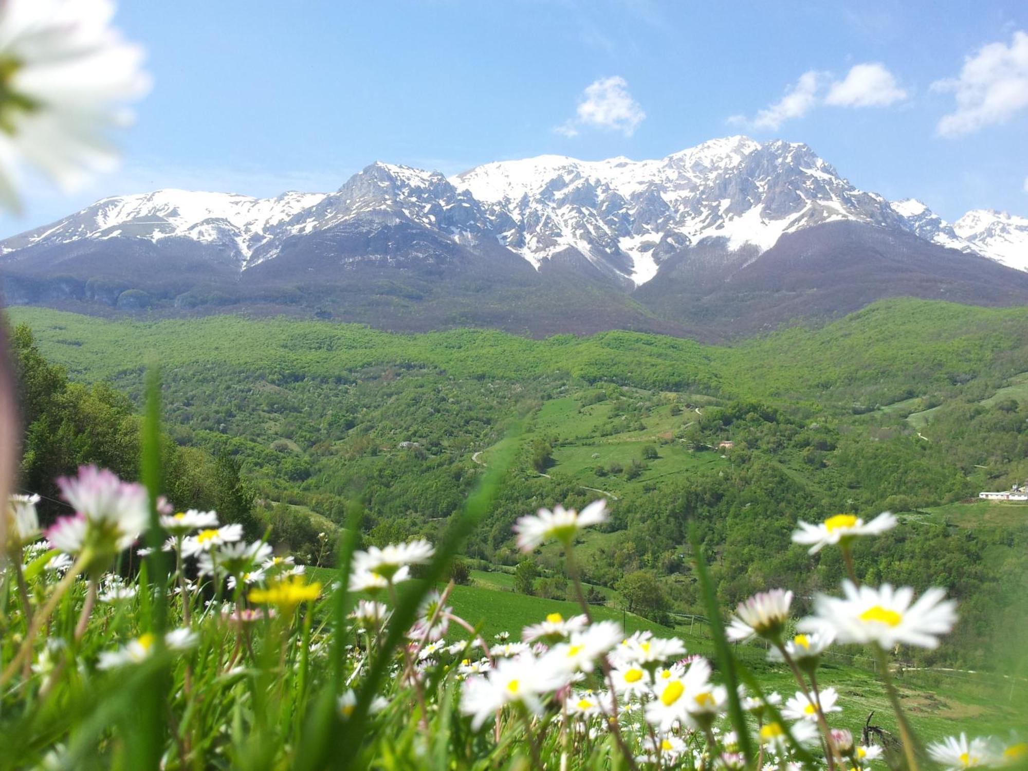 Вилла La Via Del Parco Arsita Экстерьер фото